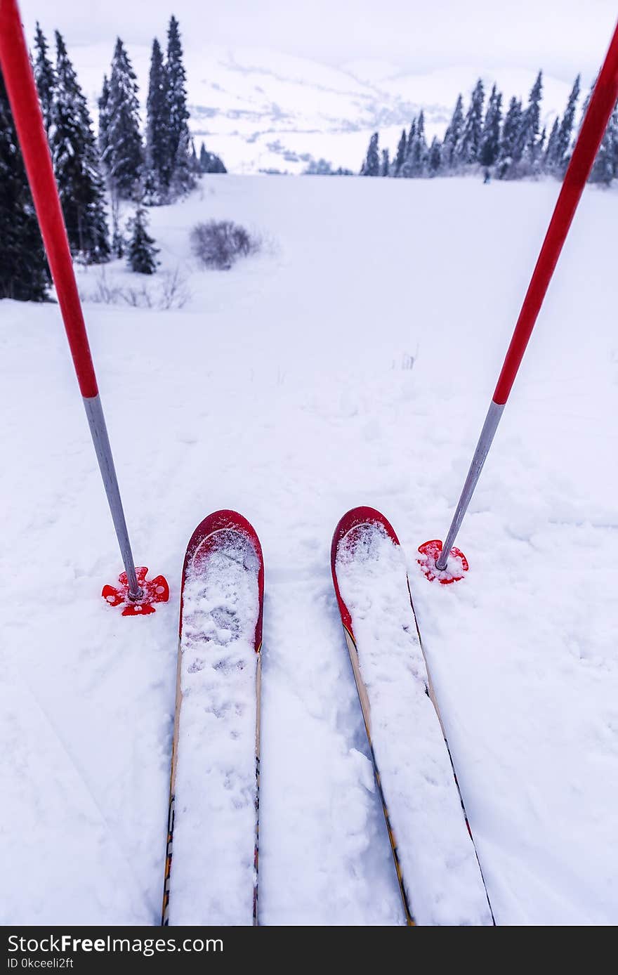 Red ski and sticks on the snow hill. Winter on the ski rsort