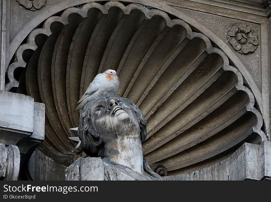 Stone Carving, Sculpture, Statue, Pigeons And Doves