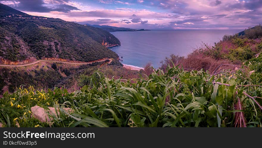 Nature, Vegetation, Nature Reserve, Sky