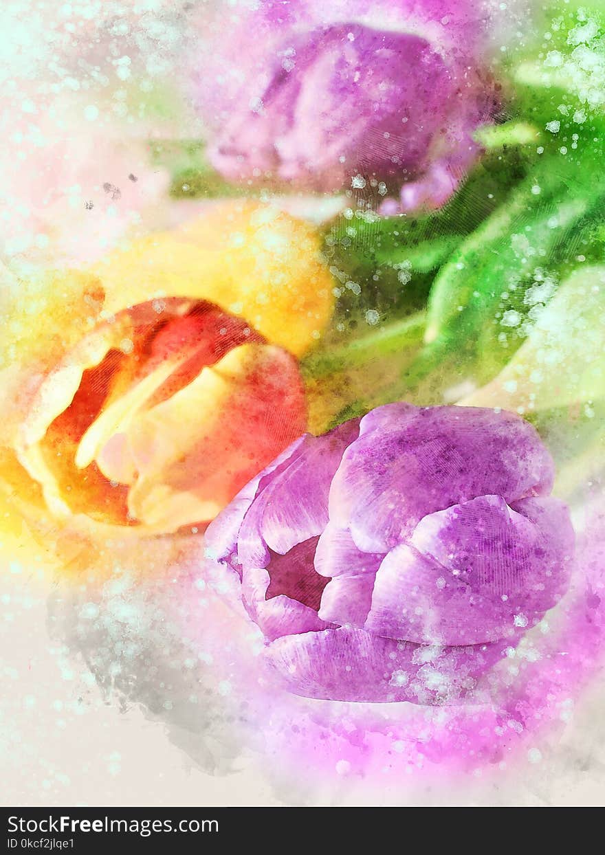 Flower, Watercolor Paint, Pink, Purple