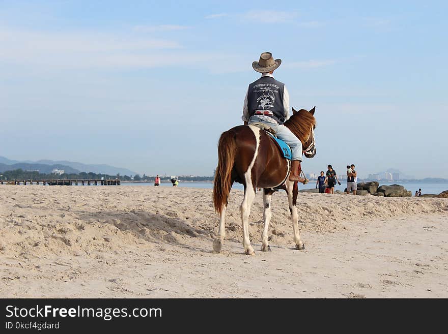 Horse, Equestrianism, Horse Like Mammal, Bridle