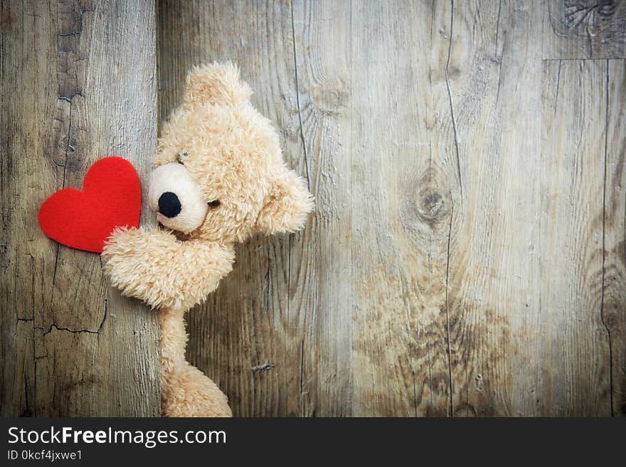 Teddy Bear, Wood, Stuffed Toy, Snout