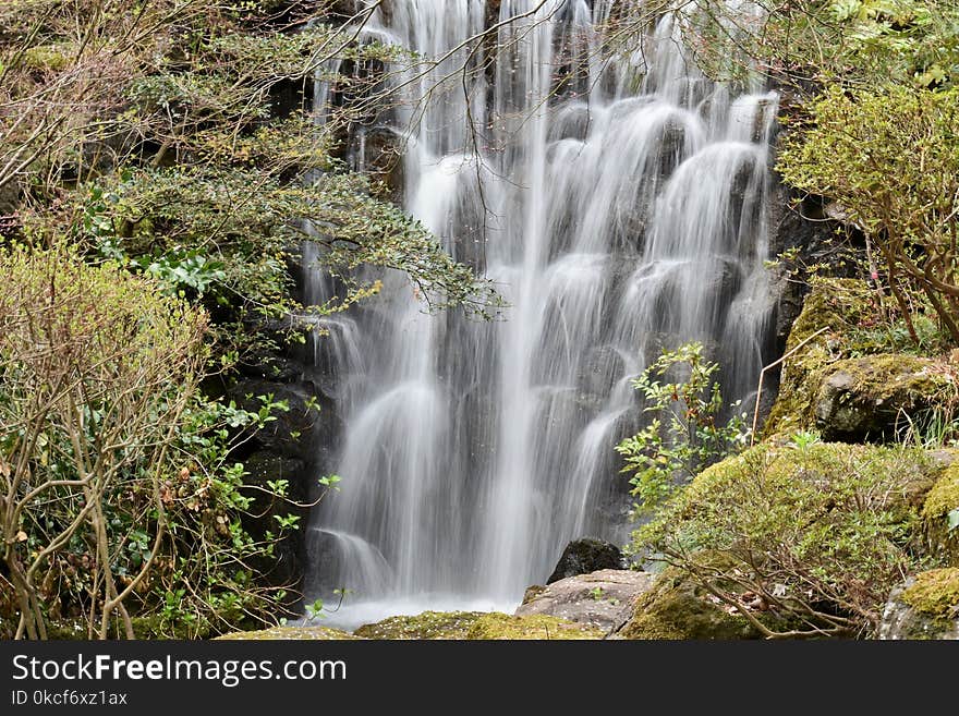 Waterfall, Water, Nature, Vegetation