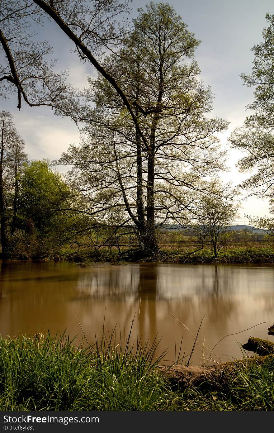 Reflection, Water, Nature, Tree