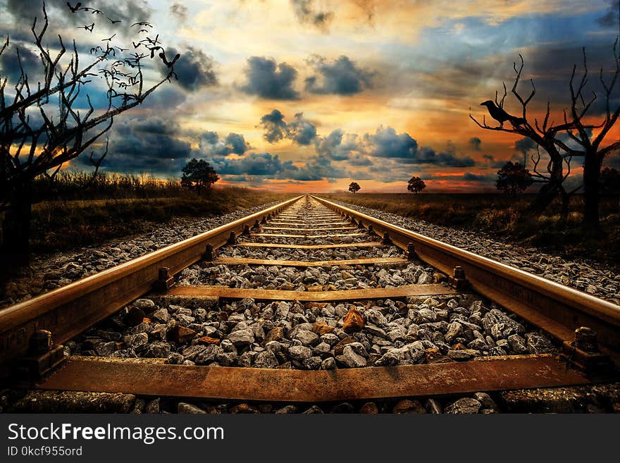 Track, Sky, Cloud, Horizon