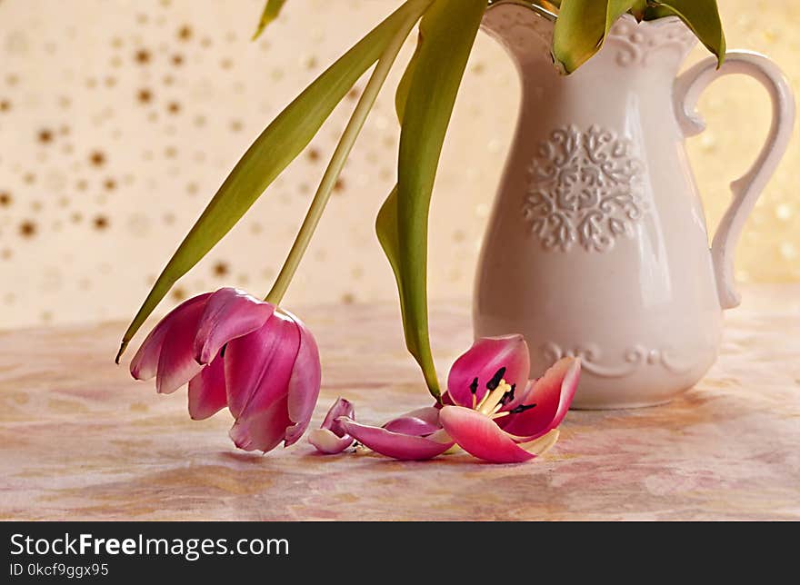 Flower, Still Life Photography, Vase, Plant