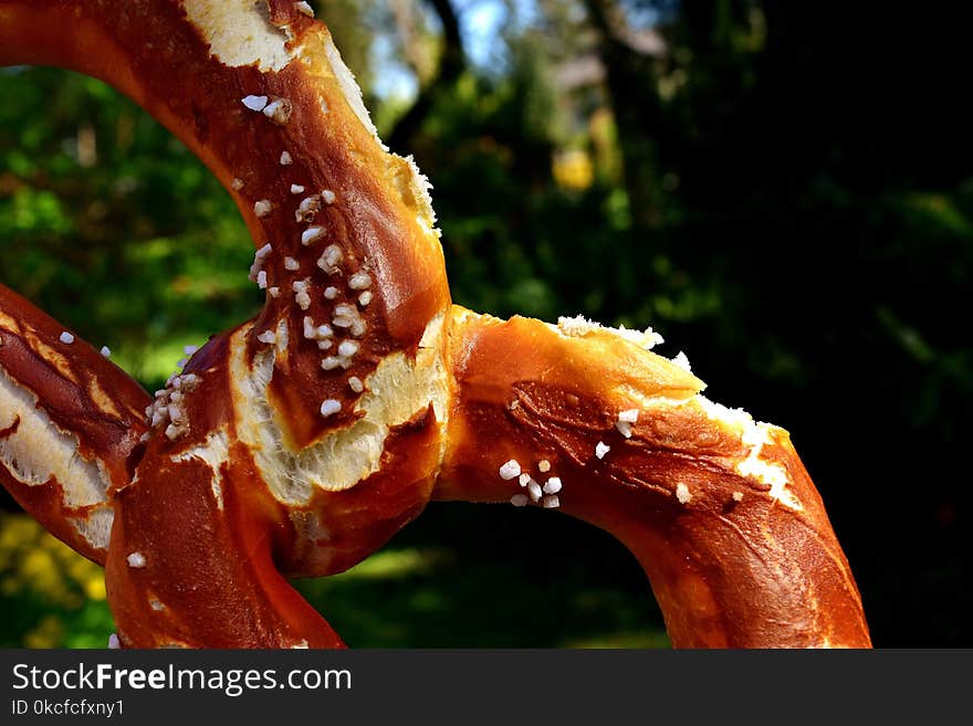 Close Up, Organism, Macro Photography