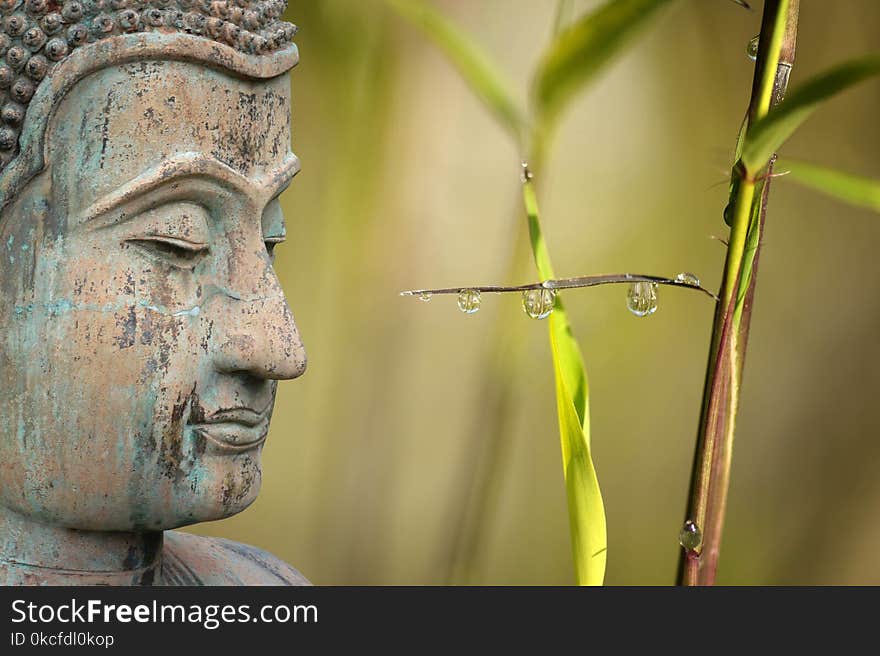 Statue, Head, Close Up, Grass