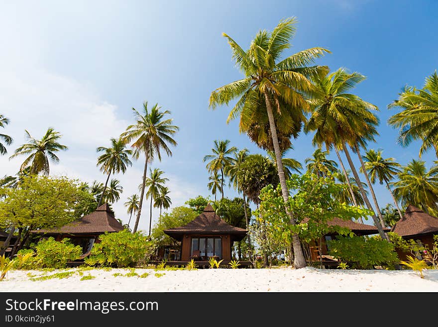 Paradise resort on tropical Koh Mook island in Thailand. Landscape taken on Sivalai beach with blue sky and white sand. Paradise resort on tropical Koh Mook island in Thailand. Landscape taken on Sivalai beach with blue sky and white sand.