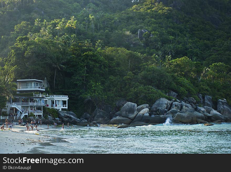 People Near Seashore