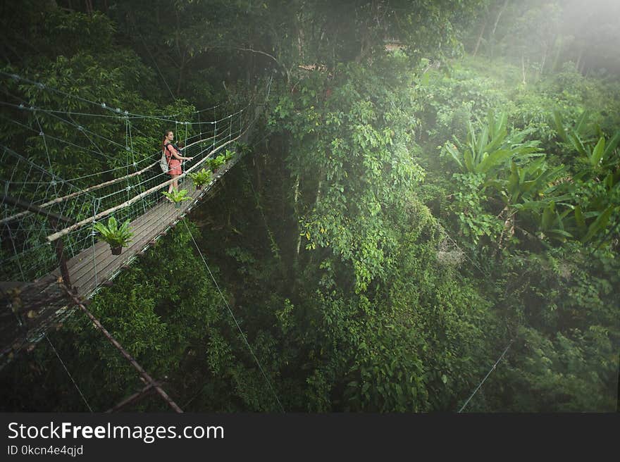 Girl Wearing Pink Dress Standing on Bridge Above Trees