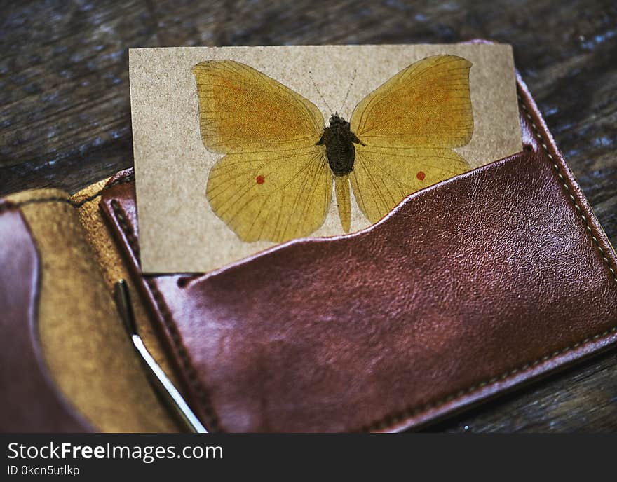 Brown Leather Card Wallet