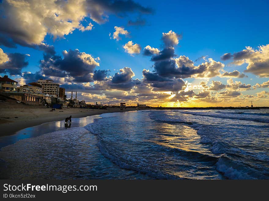 Photography of Seashore During Dusk