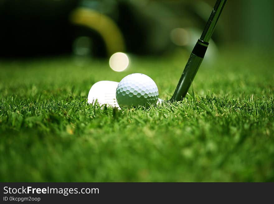 golf club and golf ball close up in grass field with sunset. Golf ball close up in golf coures