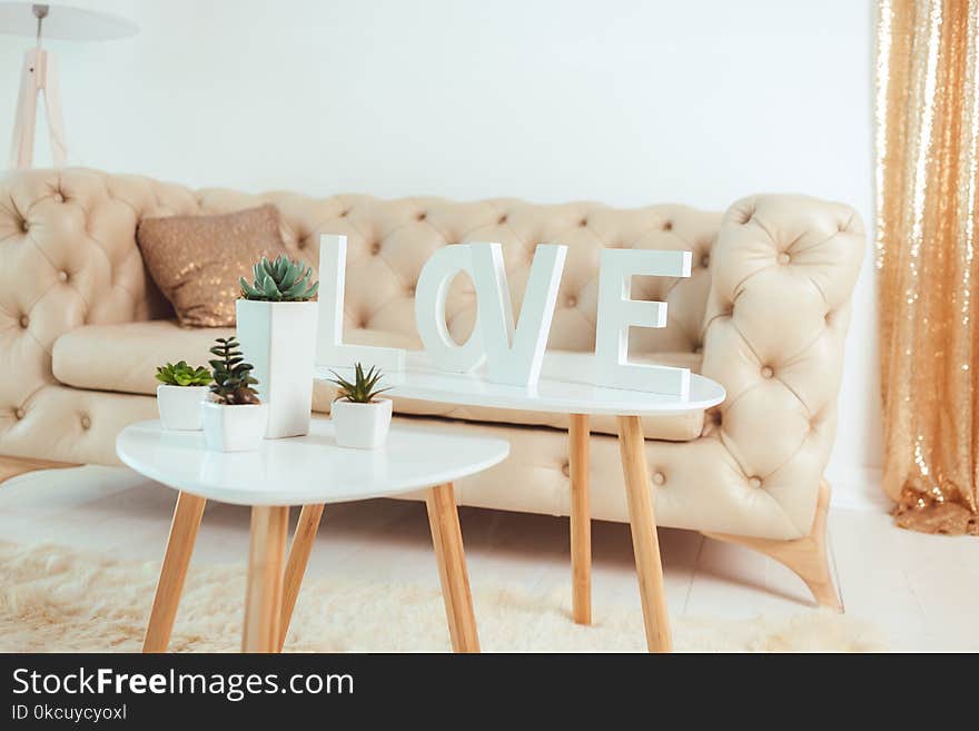 Living room, sofa, love inscription cactus on the table. modern interior design concept