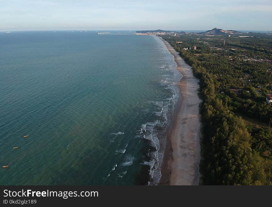 Blue Body of Water Near Green Trees