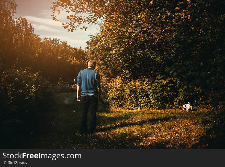 Man Wearing Blue Jacket Looking Dog Peeing