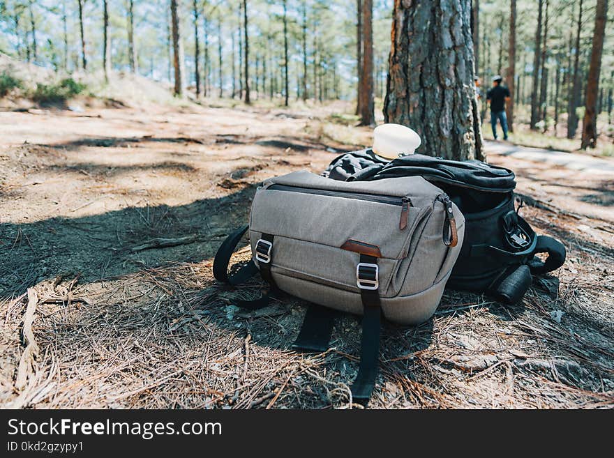 Photograph of Two Duffel Bags Under the Tree in Forest