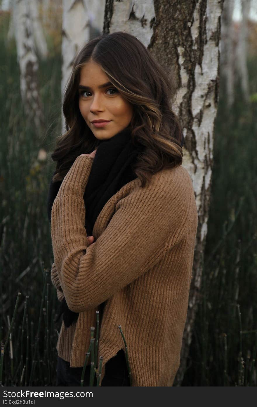 Woman Wearing Brown Knit Sweater