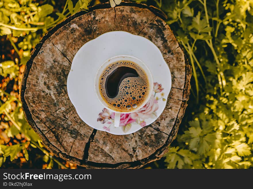 White Ceramic Saucer With Water