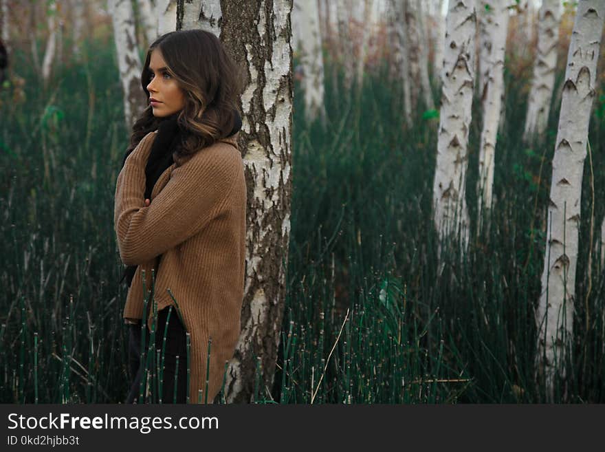 Woman Wearing Brown Sweater Standing on Woods Surrounded by Grass