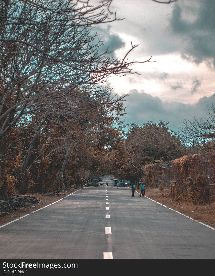 Photo of Road near Trees