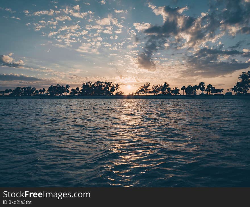 Silhouette of Trees Near Body of Water During Sunset