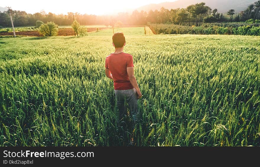 Man Walking Through Field