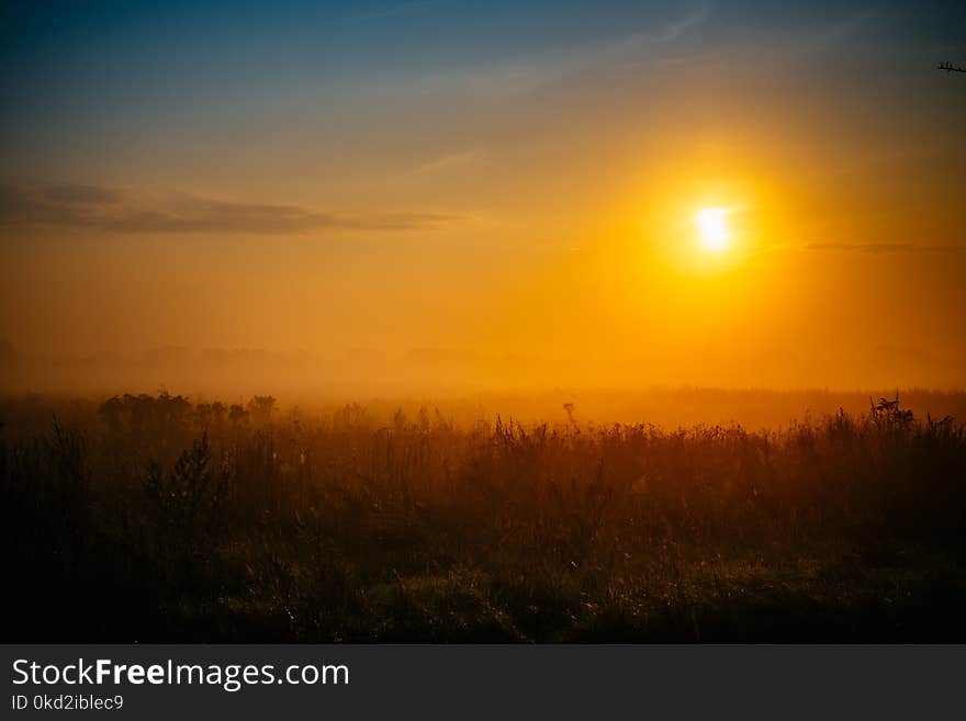 Silhouette Photography of Grass Field