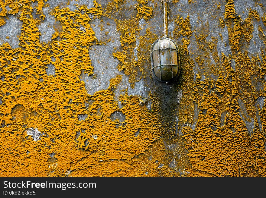 Concrete Pavement With Orange Molds