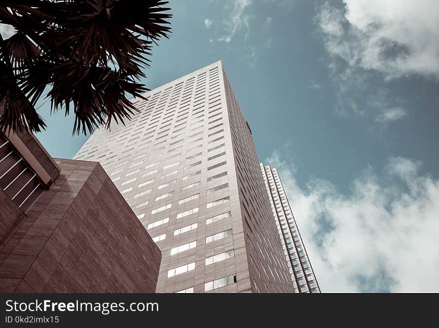 Aerial Photography of White Concrete Building