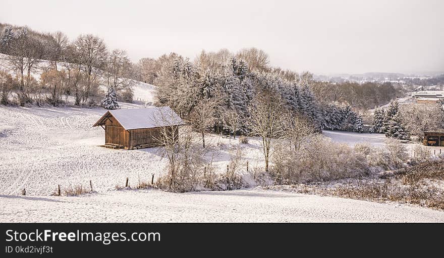 Snow Covered Trees Under Cloudy Sky