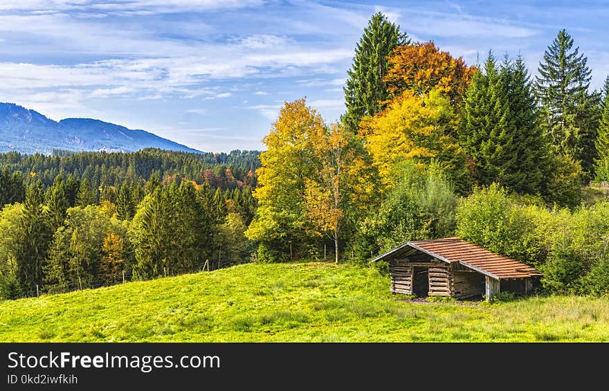 Brown Wooden Cottage Near Forest