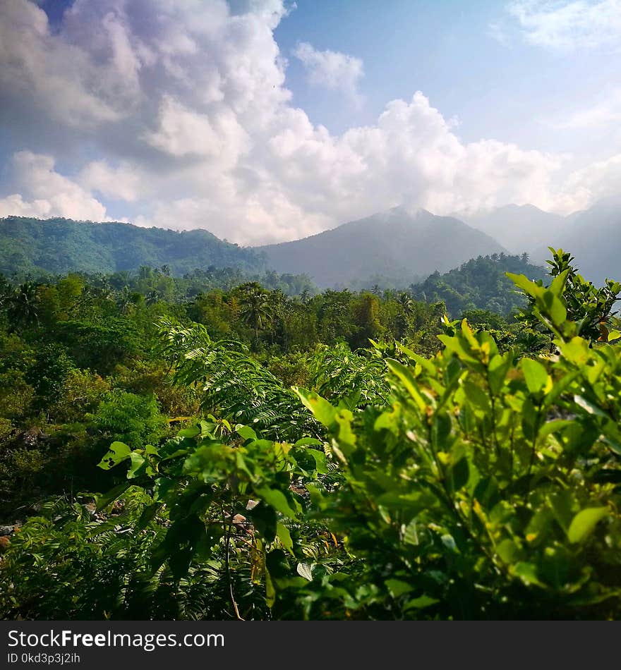 Picture was taken during my hike up to a Sitio in La Carlota. Picture was taken during my hike up to a Sitio in La Carlota.