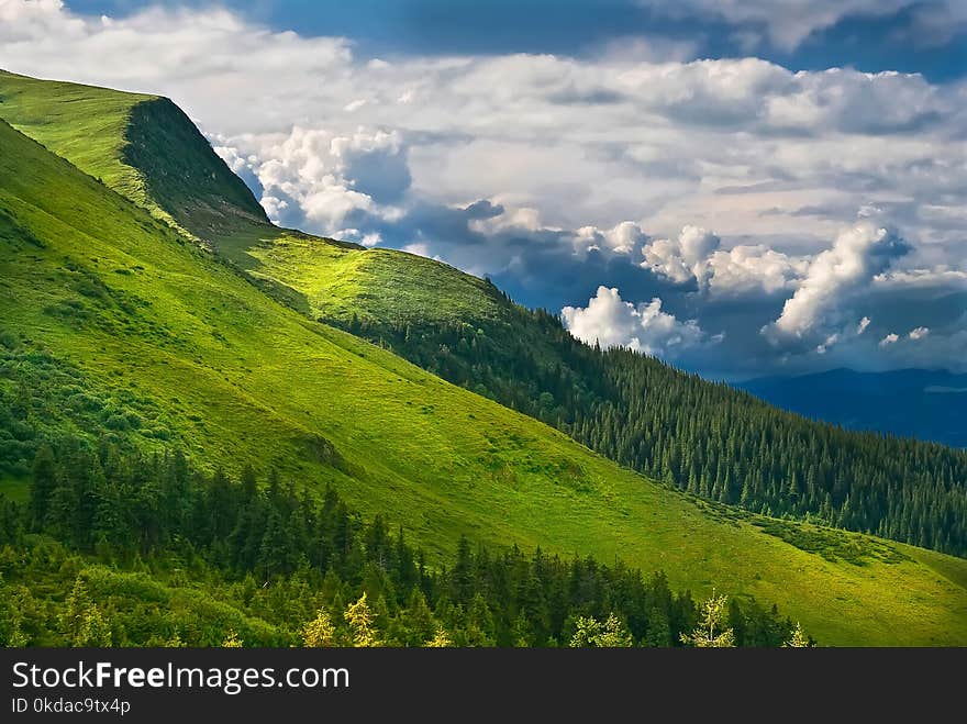 Spring in the Carpathian Mountains. Ukraine.