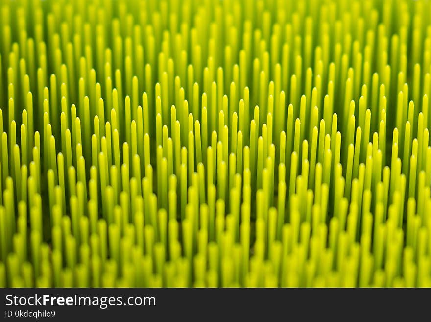 Macro abstract green background texture