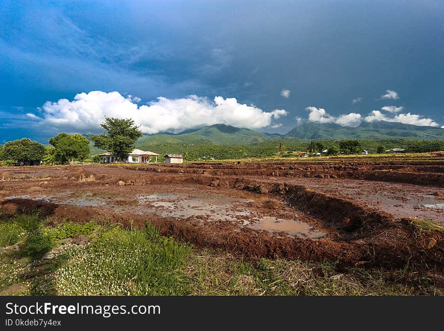 Photography of Empty Ricefield