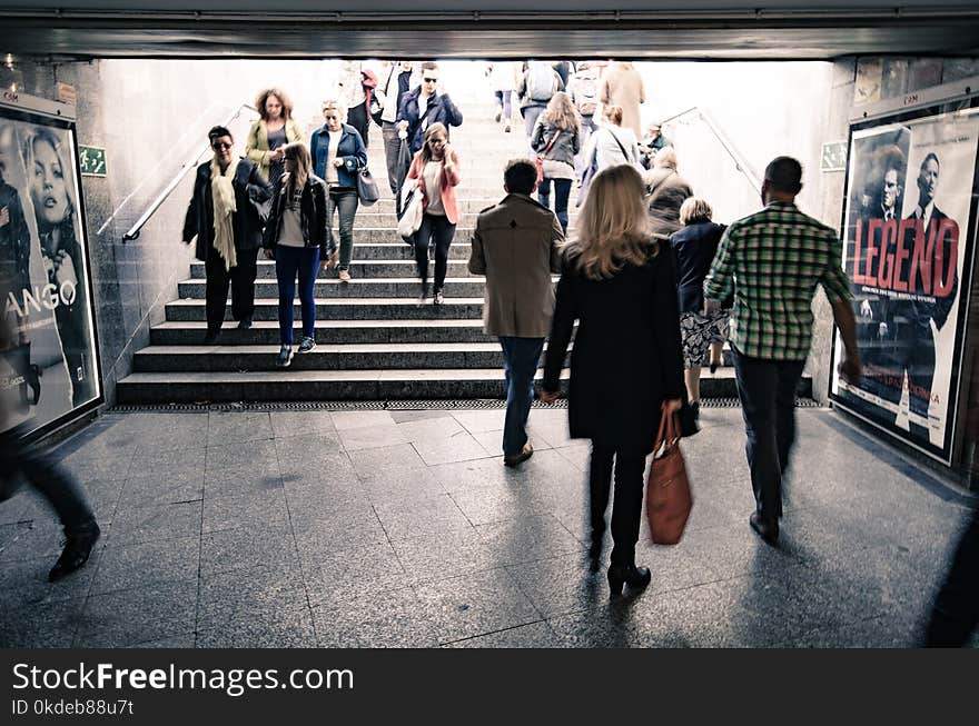 Group of People on Concrete Pavement