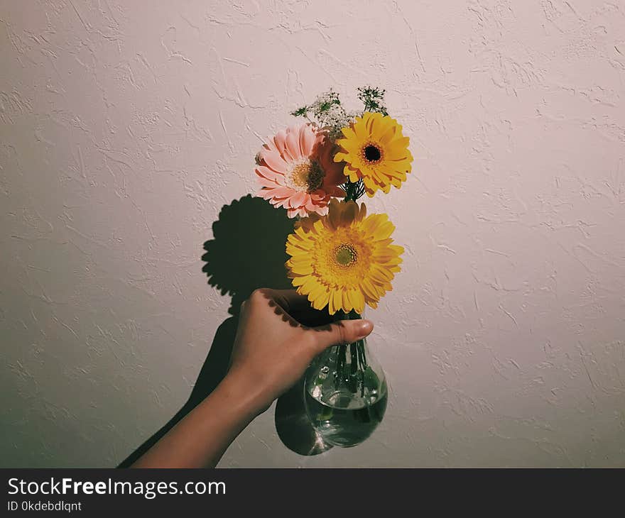 Person Holding Clear Glass Vase With Flowers