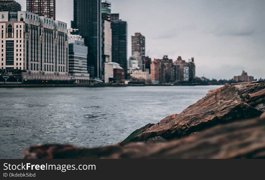 High-rise Building Near Body of Water