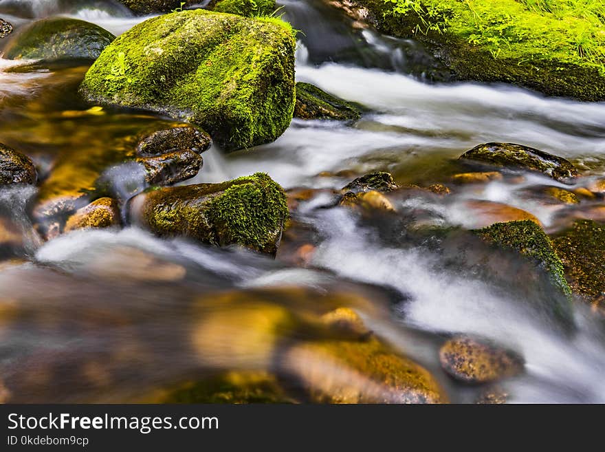 Closeup Photo Body of Water and Green Stone