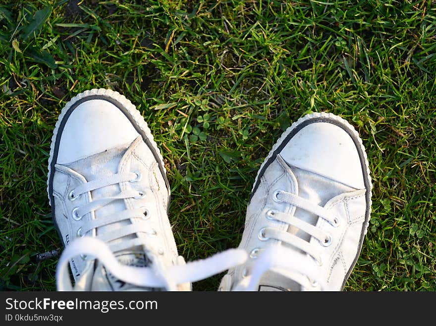 Pair of White Lace-up Sneakers on Top Green Grass