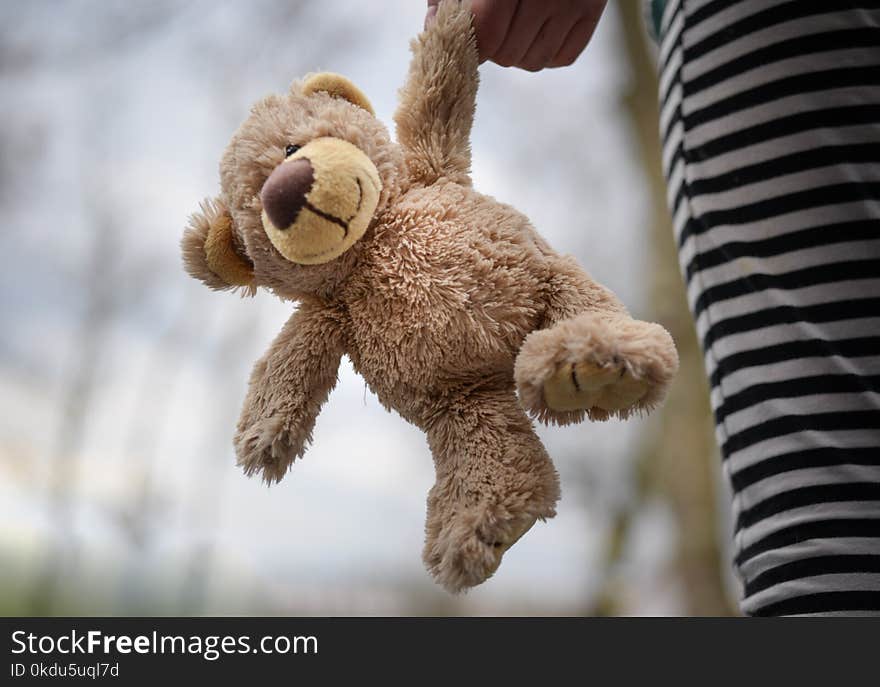 Closeup Photography of Brown Teddy Bear