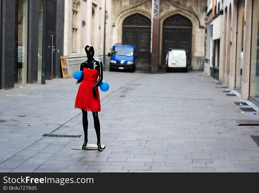 Black Mannequin