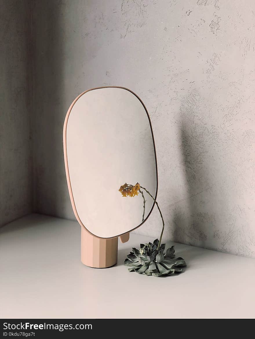 Yellow Petaled Flower Beside Mirror