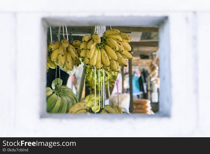 Bunch of Hanged Bananas