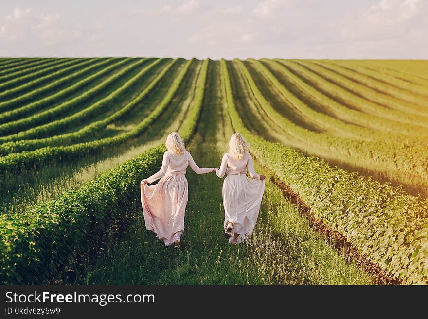 Young beautiful twins of vintage dresses in the field. Young beautiful twins of vintage dresses in the field