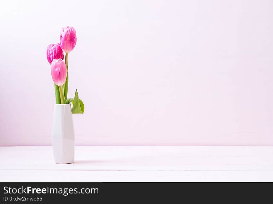 pink tulip flower on wood background with copy space