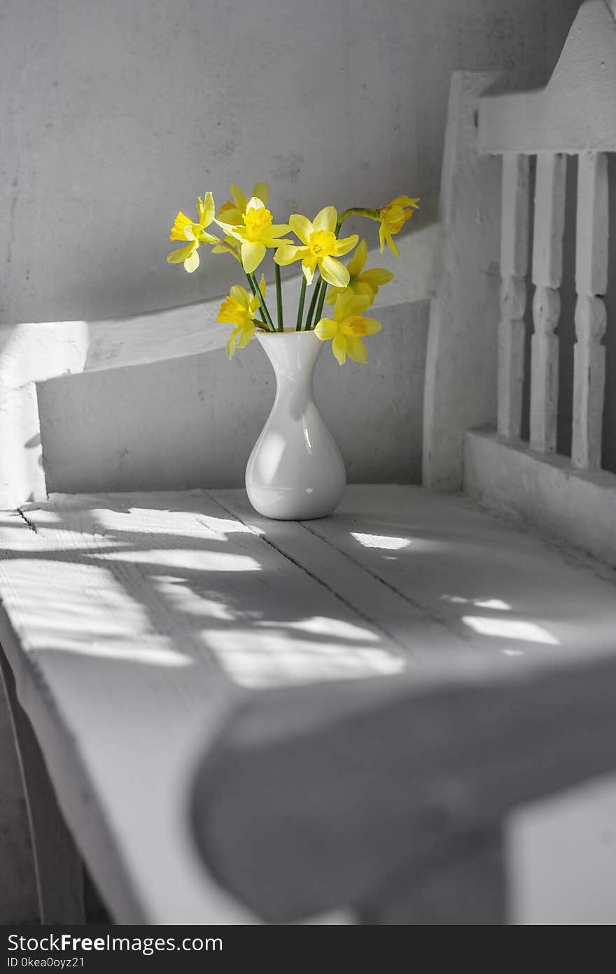 yellow spring flowers on white wooden bench. yellow spring flowers on white wooden bench