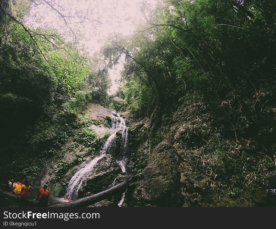 Photography of Waterfalls Near Trees